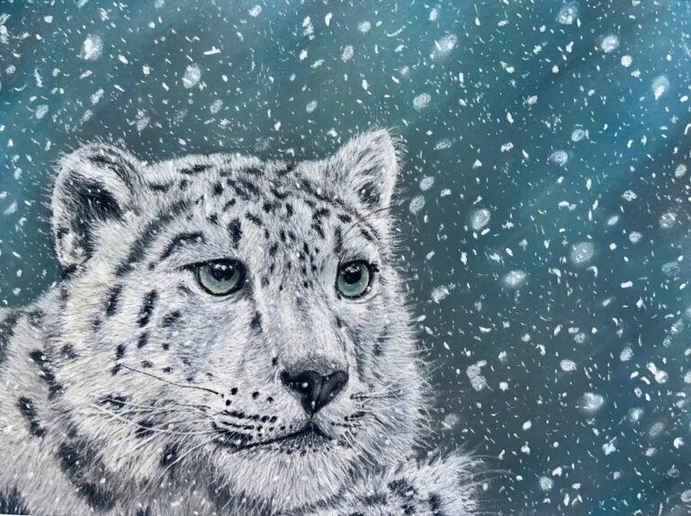 Dessin réaliste au pastel sec d’une panthère des neiges sur un fond enneigé, collection Félins par ADN - ADN Portfolio "Silence blanc"