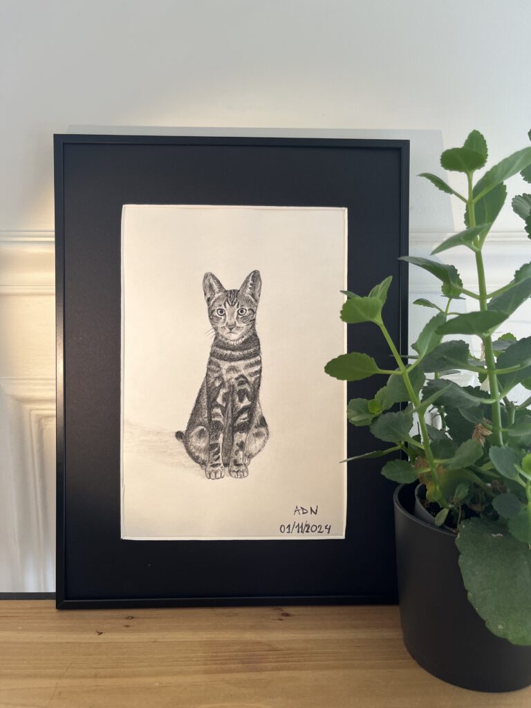 Dessin réaliste à la pierre noire d’un chat mis en situation sur une étagère avec une plante, collection Félins par ADN - ADN Portfolio "Tigrou"