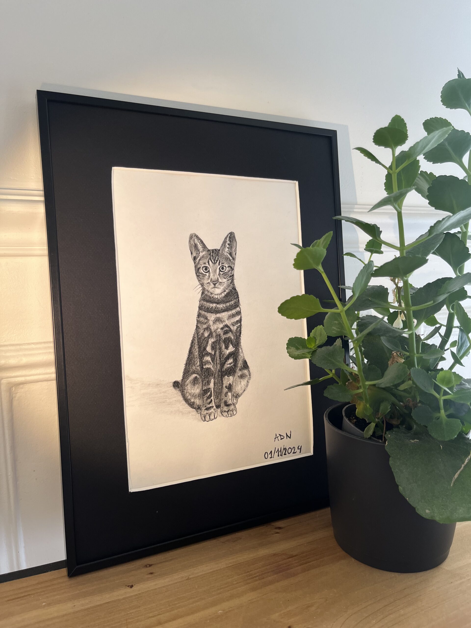 Dessin réaliste à la pierre noire d’un chat mis en situation sur une étagère avec une plante, collection Félins par ADN - ADN Portfolio "Tigrou"