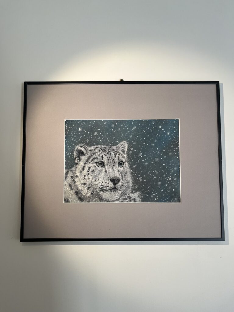 Dessin réaliste au pastel sec d’une panthère des neiges sur un fond enneigé accroché sur un mur blanc, collection Félins par ADN - ADN Portfolio "Silence blanc"