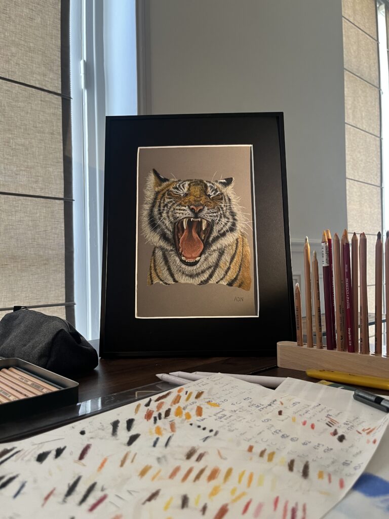 Dessin réaliste au pastel sec d’un tigre rugissant, mis en situation sur un bureau avec du matériel de dessin, collection Félins par ADN - ADN Portfolio "Éclat Sauvage"