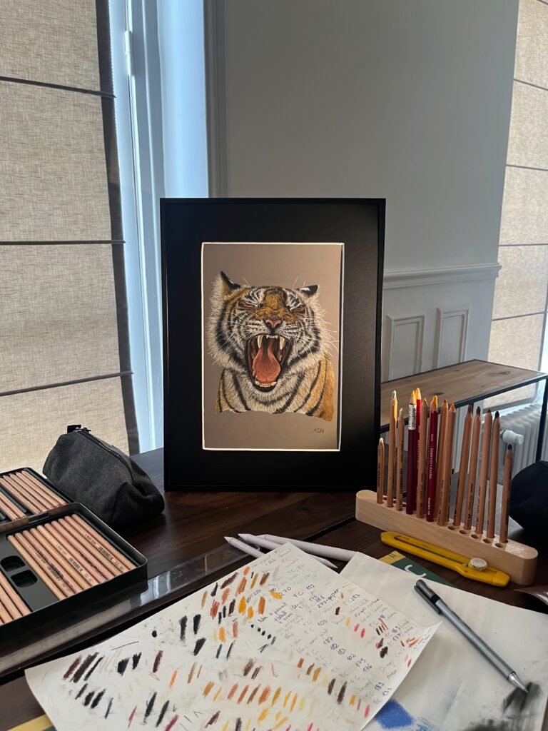 Dessin réaliste au pastel sec d’un tigre rugissant, collection Félins par ADN - ADN Portfolio "Éclat Sauvage"