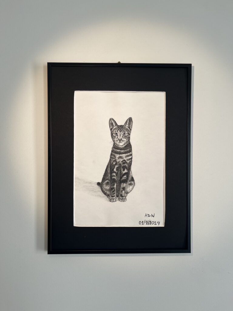 Dessin d'un chat noir réalisé à la pierre noire sur fond blanc. Collection Félins ADN - "Tigrou"